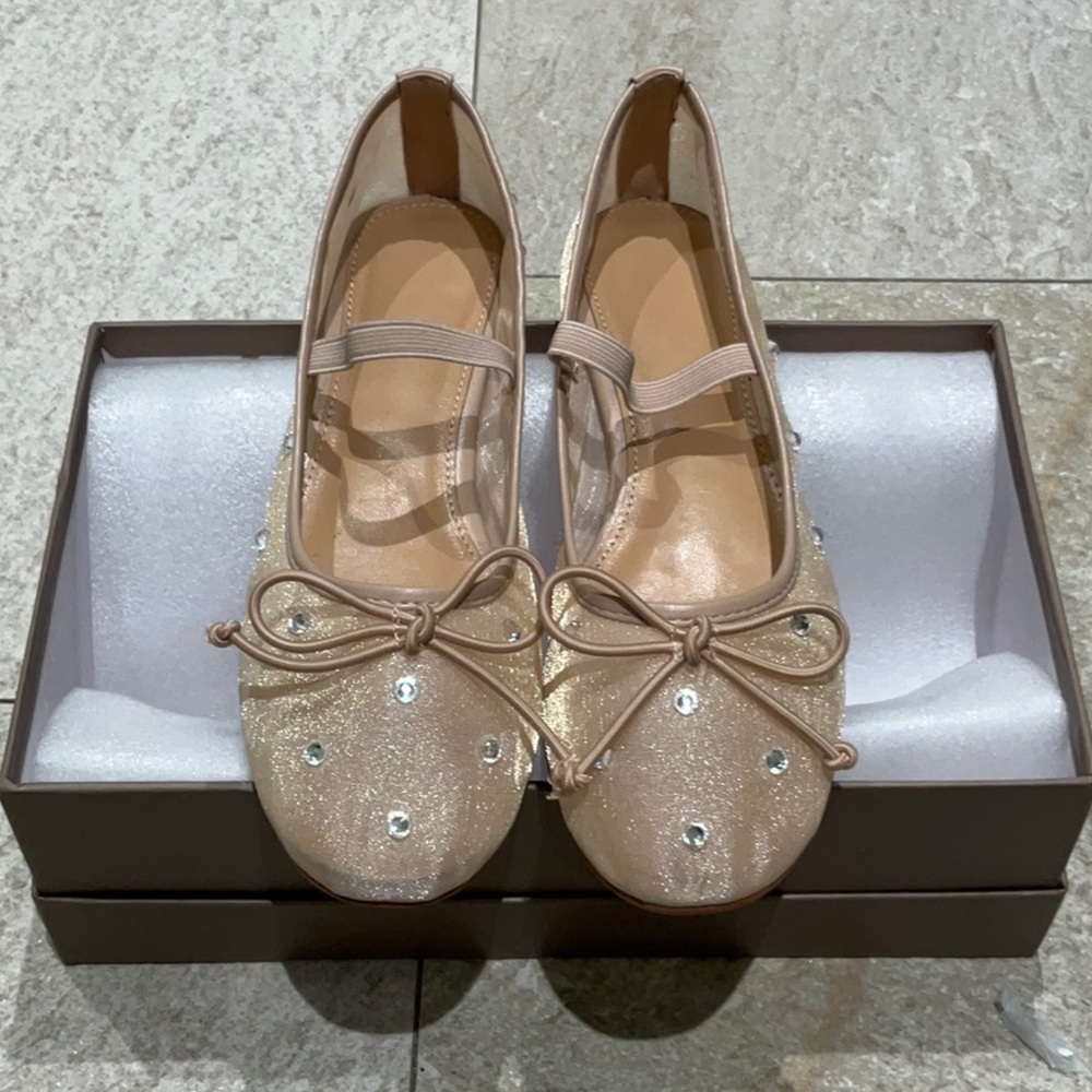 BNIB * Sheer, trendy mesh Mary Jane ballet flats with crystals. Size 6.5.